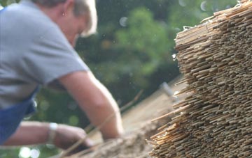 professional Wepre thatchers