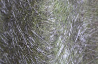 Wepre fibreglass roof work